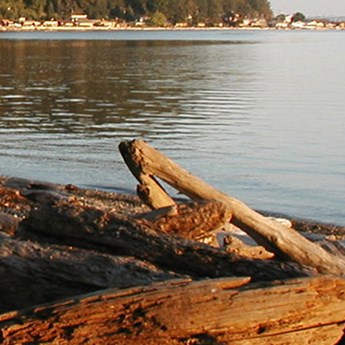 Kayak Point Park Restoration Feasibility Study