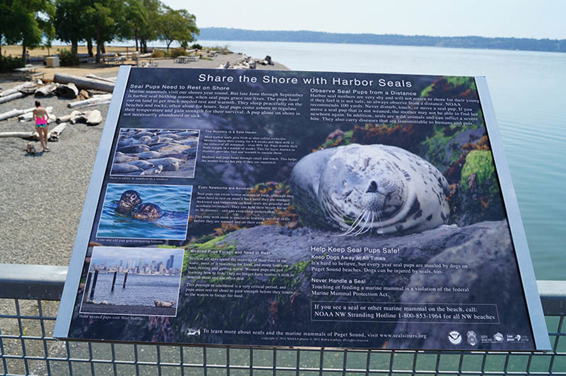 Marine Mammal Stranding Network