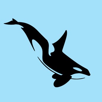 8 things you can do to help save the Orcas