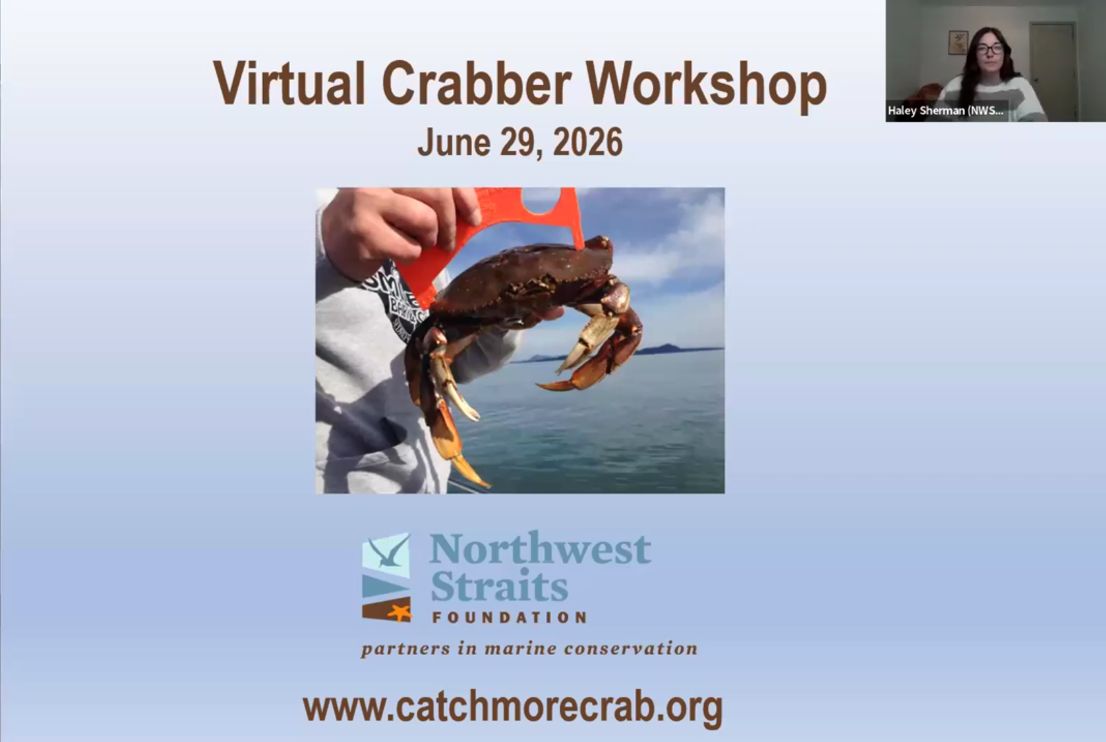 A screenshot of the beginning of the Virtual Crabber Workshop