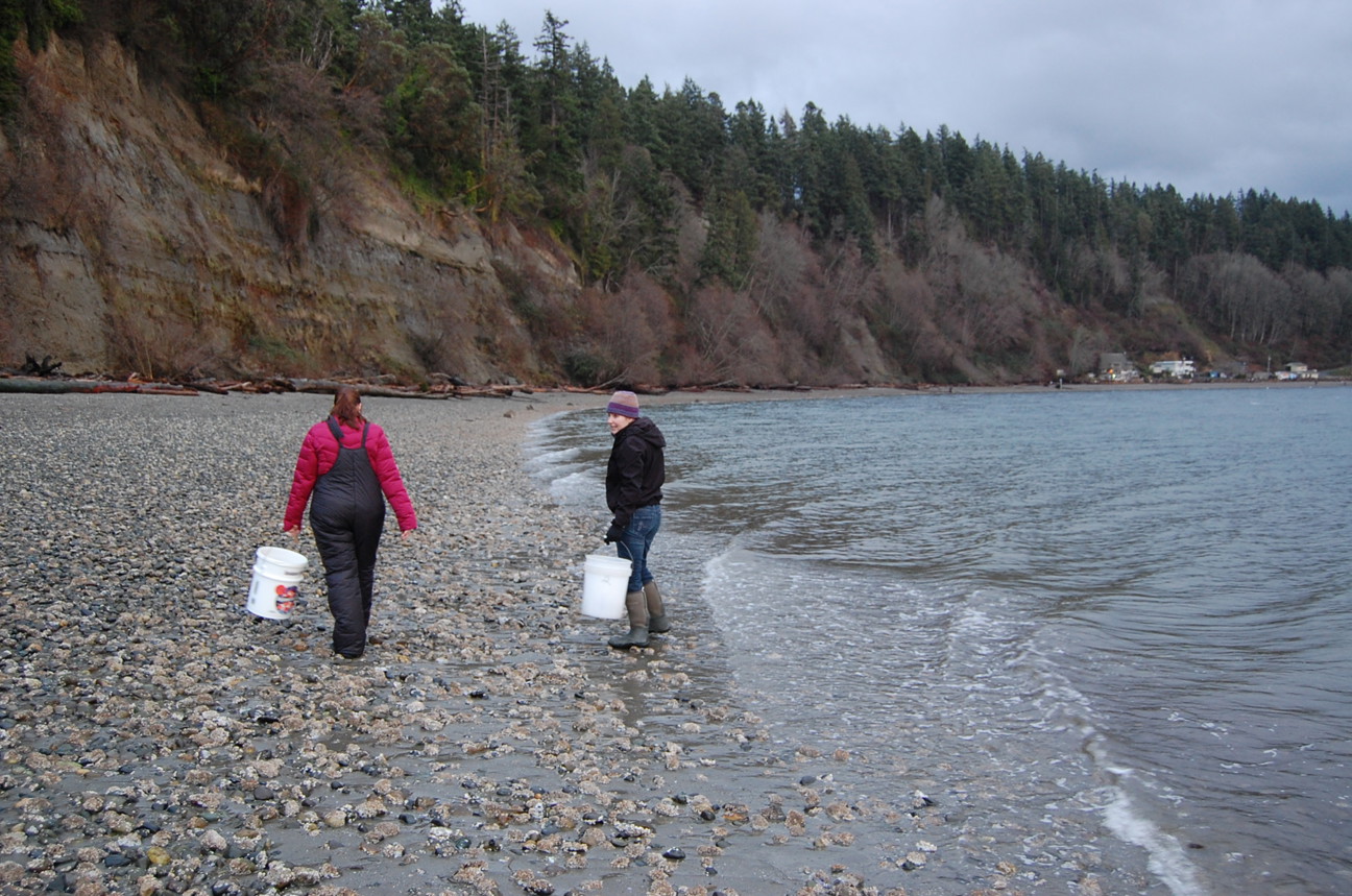 MRC members walking with buckets on the beach.
