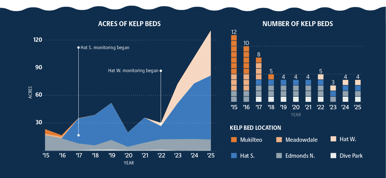 Graph with year on x-axis and acres of kelp beds on y-axis, second graph of number of kelp beds over years