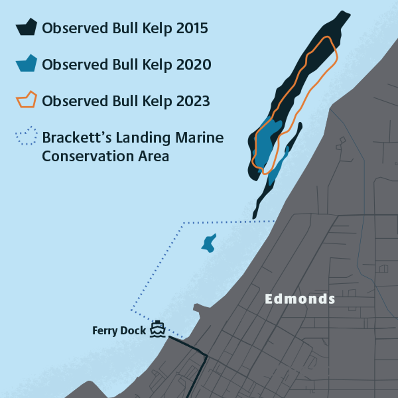 Map of bull kelp presence in Edmonds