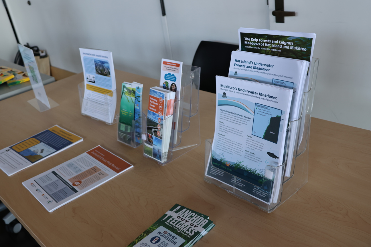 Image of printed kelp outreach pamphlets